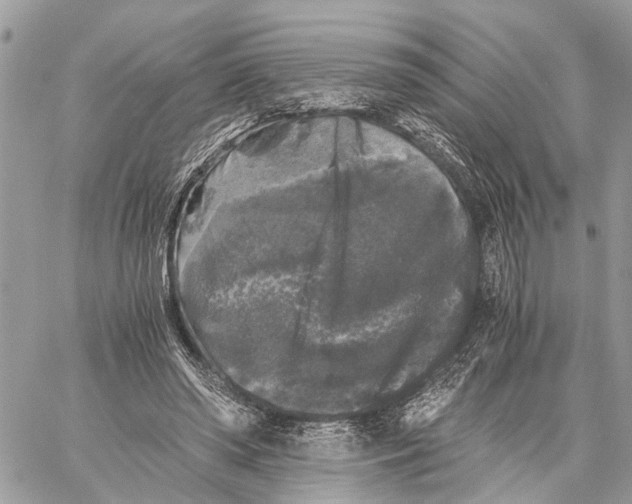 X0000058760398200510211703