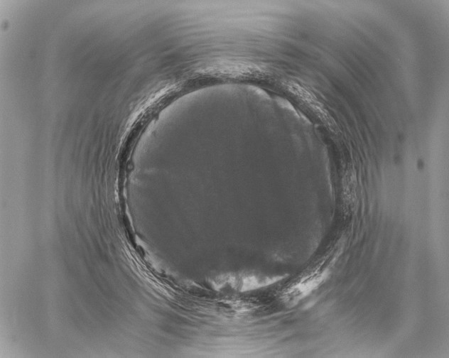 X0000058760399200510211703