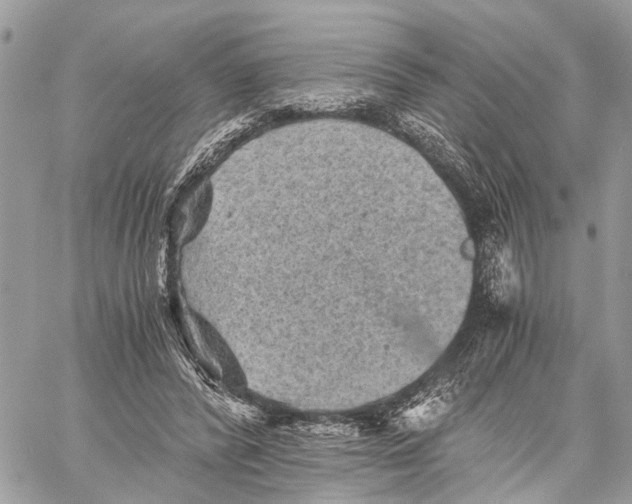 X0000058760400200510211703