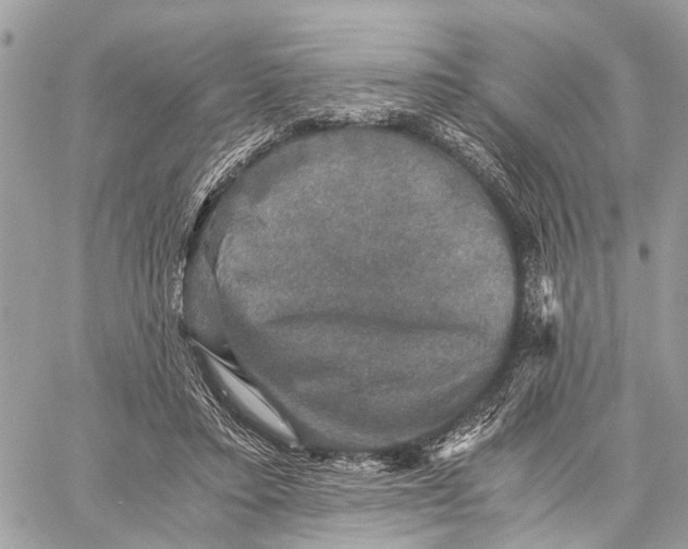 X0000058760403200510211703