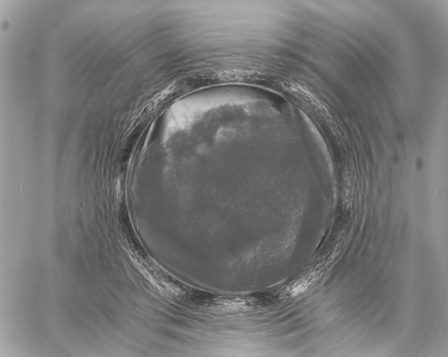 X0000058760405200510211703