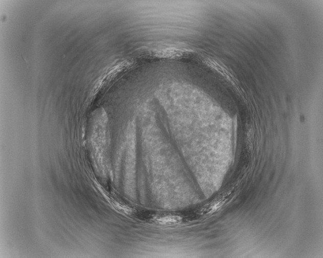 X0000058760407200510211703