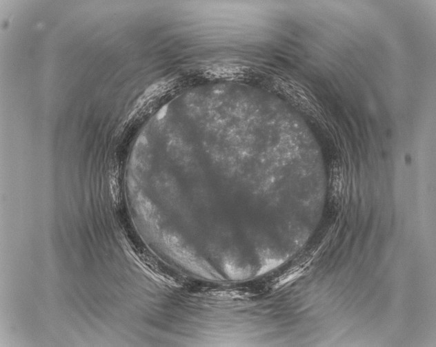 X0000058760408200510211703