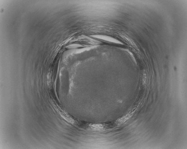 X0000058760409200510211702