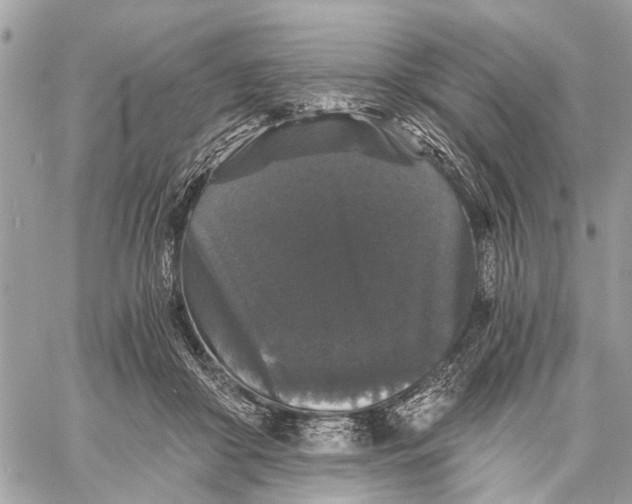 X0000058760410200510211702