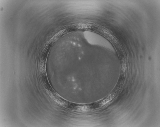 X0000058760411200510211702