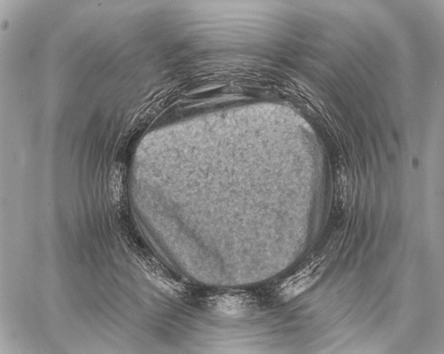 X0000058760412200510211702