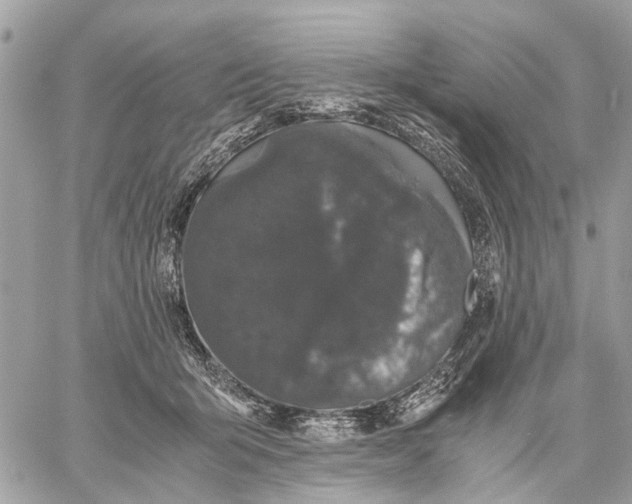 X0000058760415200510211702