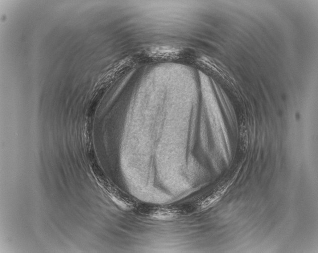 X0000058760416200510211702