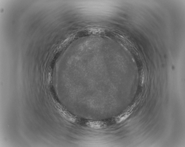 X0000058760417200510211702