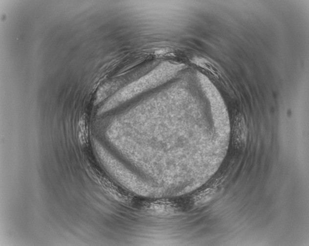 X0000058760420200510211702