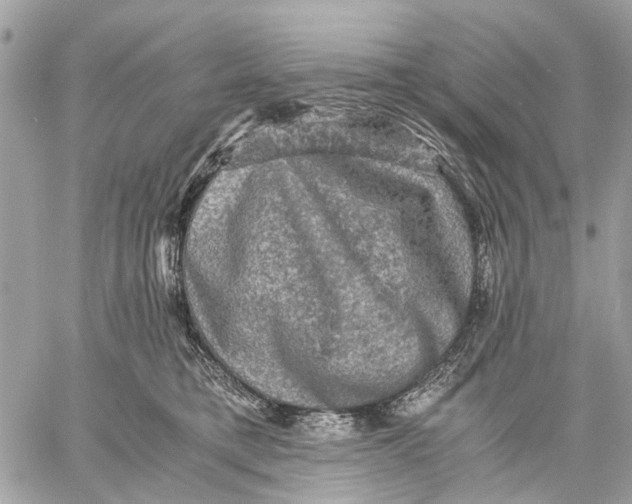 X0000058760421200510211702