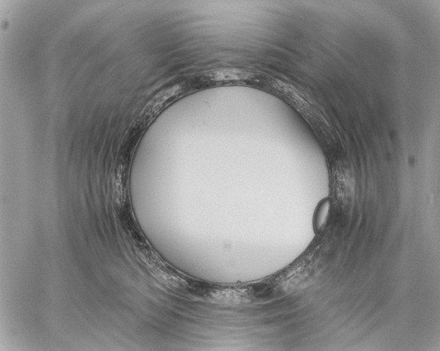 X0000058760422200510211702