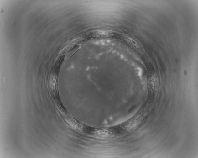 X0000058760423200510211702