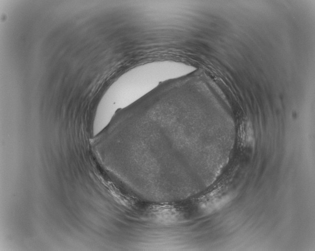 X0000058760424200510211702