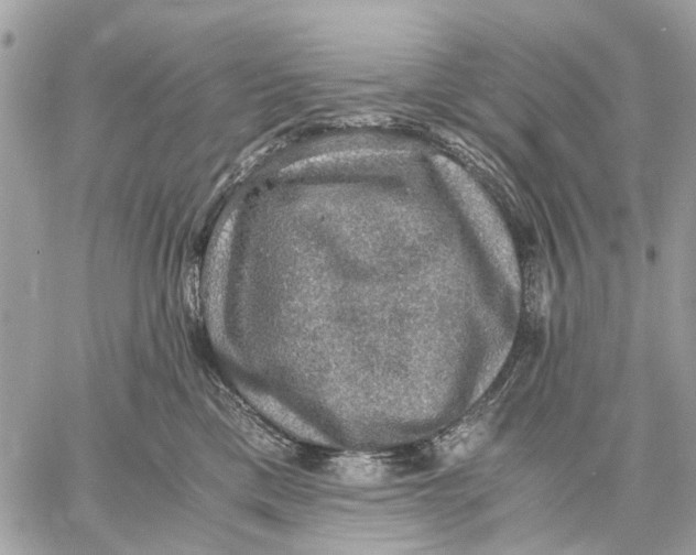 X0000058760425200510211702