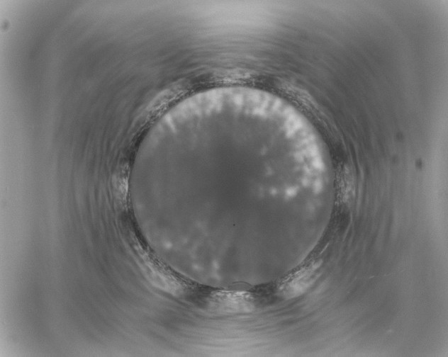 X0000058760427200510211702