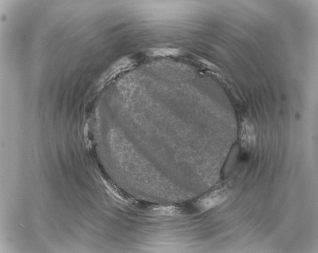 X0000058760428200510211702