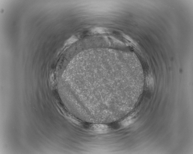 X0000058760429200510211702