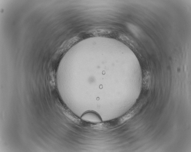 X0000058760430200510211702