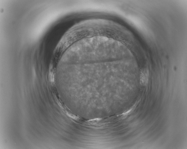 X0000058760431200510211702