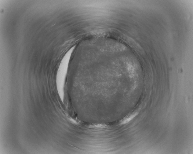 X0000058760432200510211702