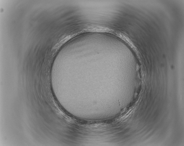 X0000058760433200510211701