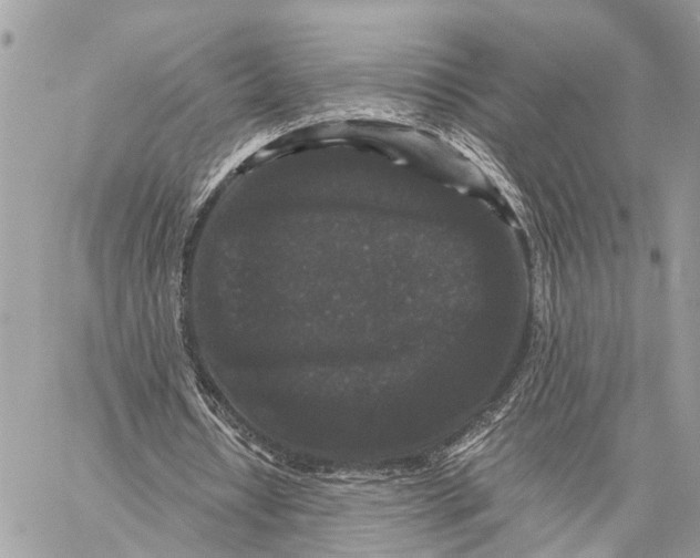 X0000058760434200510211701