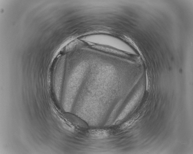 X0000058760435200510211701