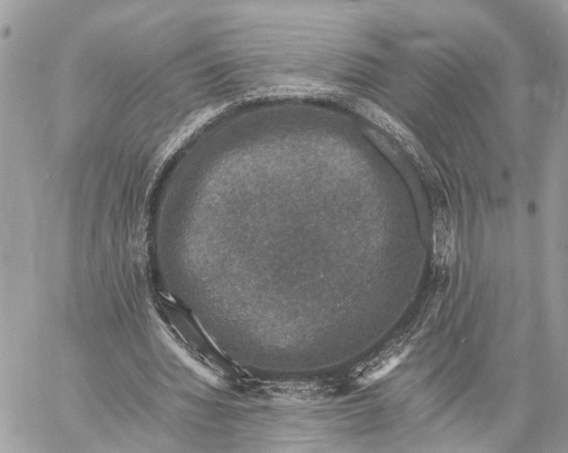 X0000058760436200510211701