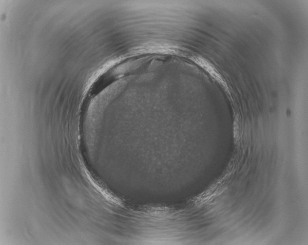 X0000058760438200510211701