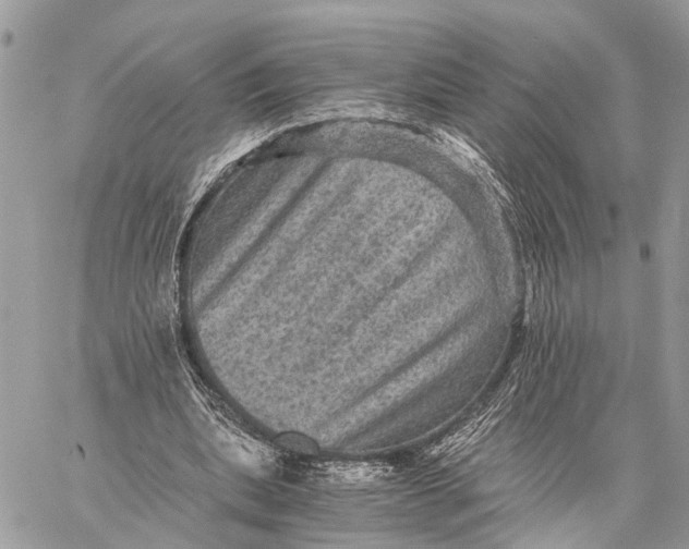 X0000058760439200510211701