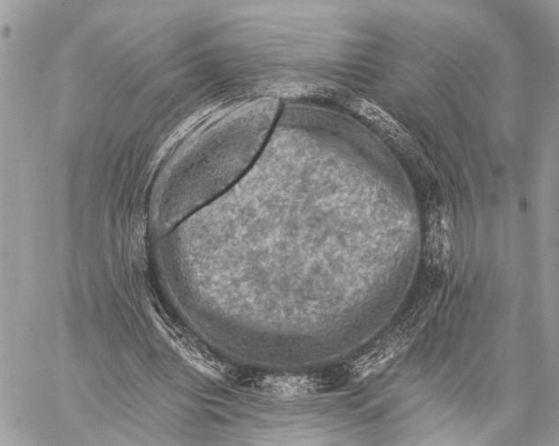 X0000058760440200510211701