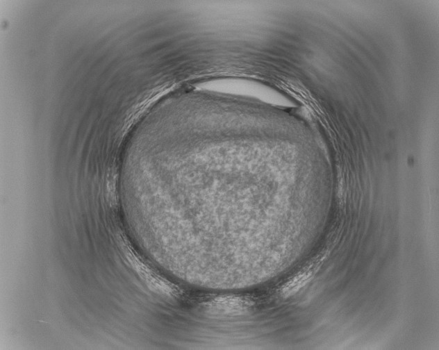 X0000058760441200510211701