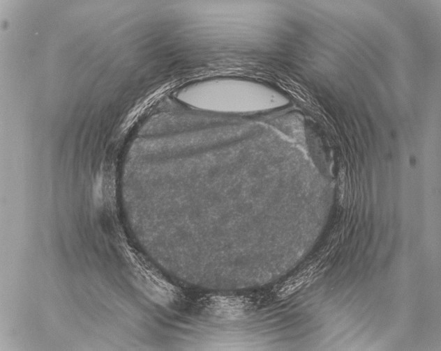 X0000058760442200510211701