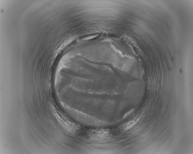 X0000058760443200510211701