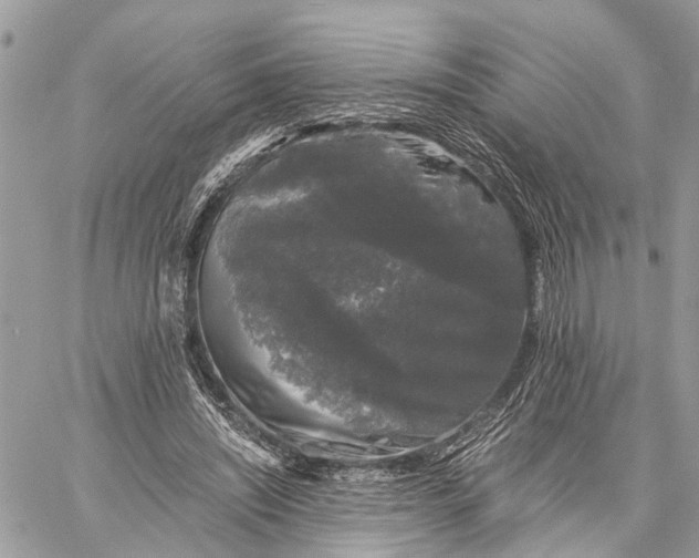 X0000058760444200510211702