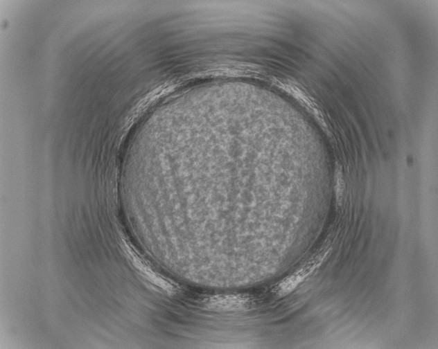 X0000058760445200510211702