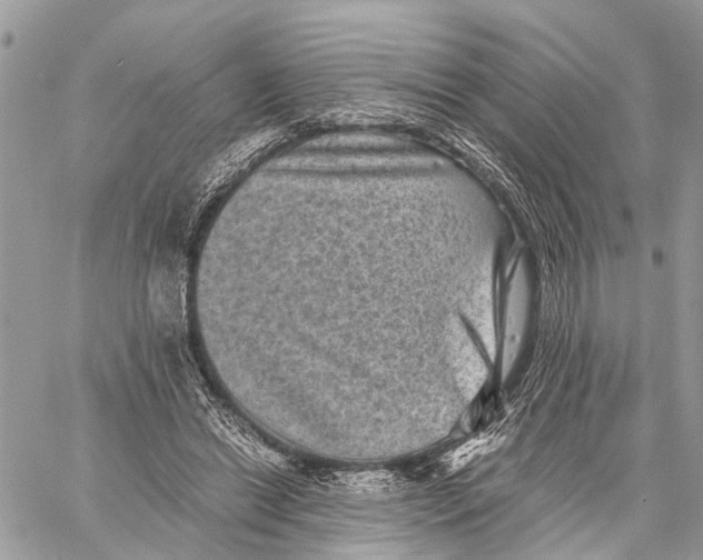 X0000058760446200510211702