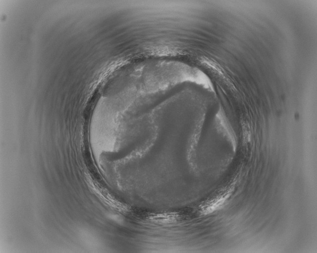 X0000058760447200510211702