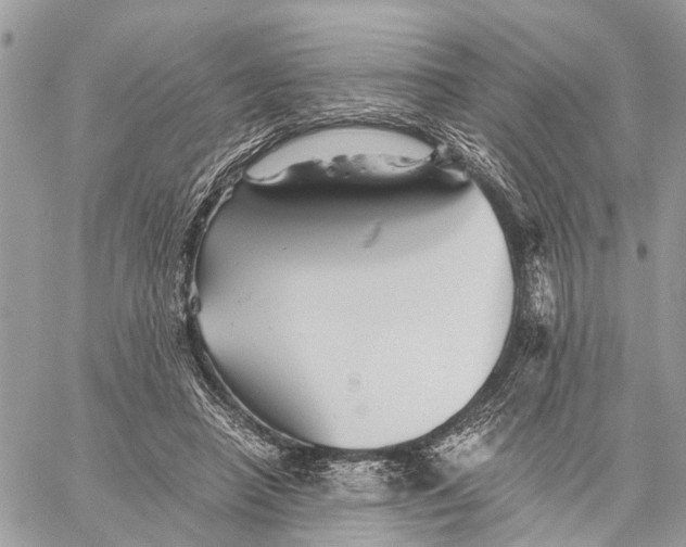 X0000058760450200510211702