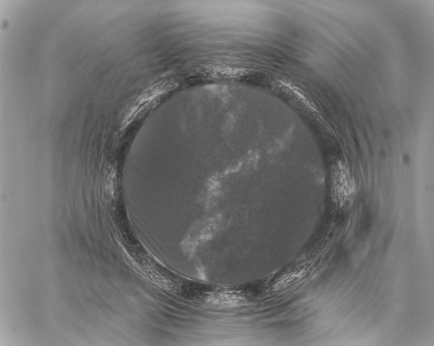 X0000058760451200510211702