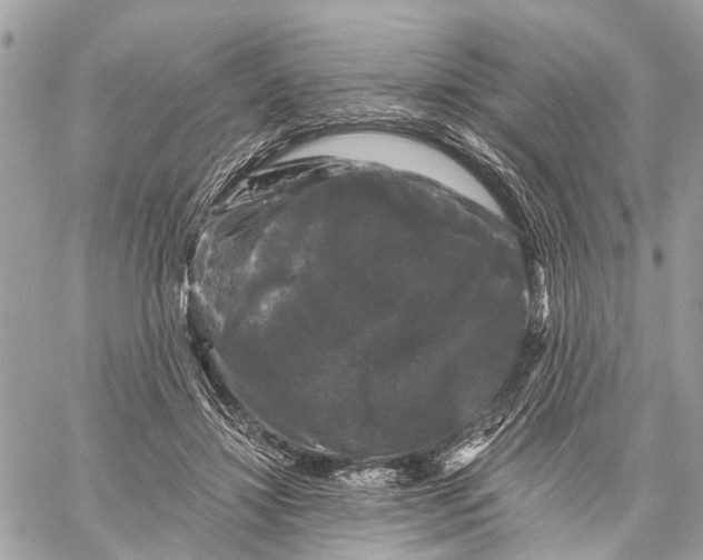 X0000058760452200510211702