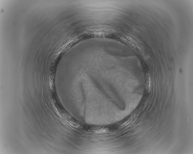 X0000058760456200510211702