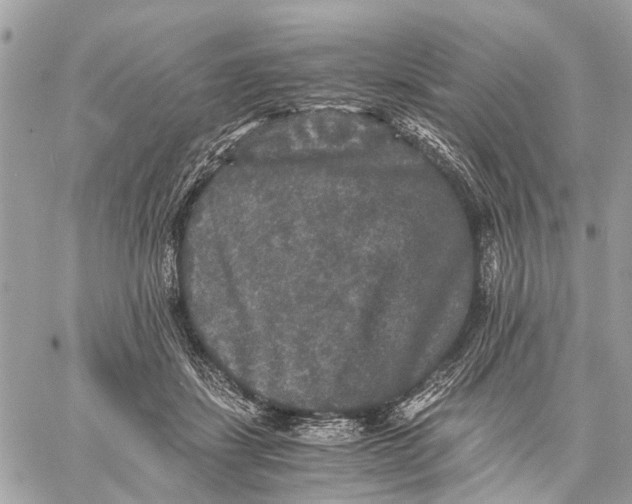 X0000058760459200510211702