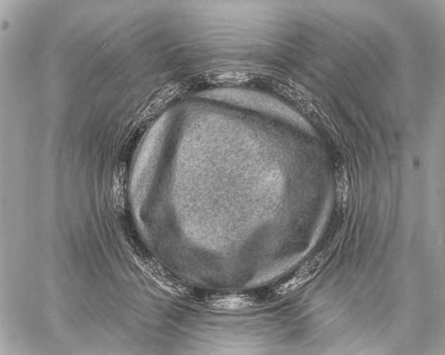 X0000058760460200510211702