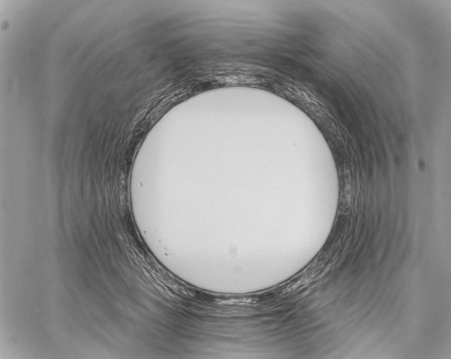 X0000058760461200510211702