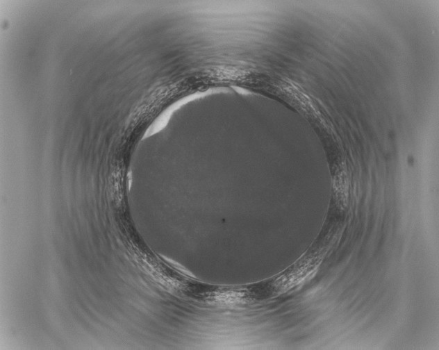 X0000058760462200510211702