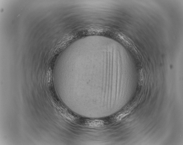 X0000058760463200510211702