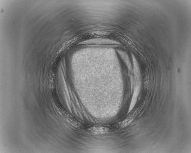 X0000058760464200510211702